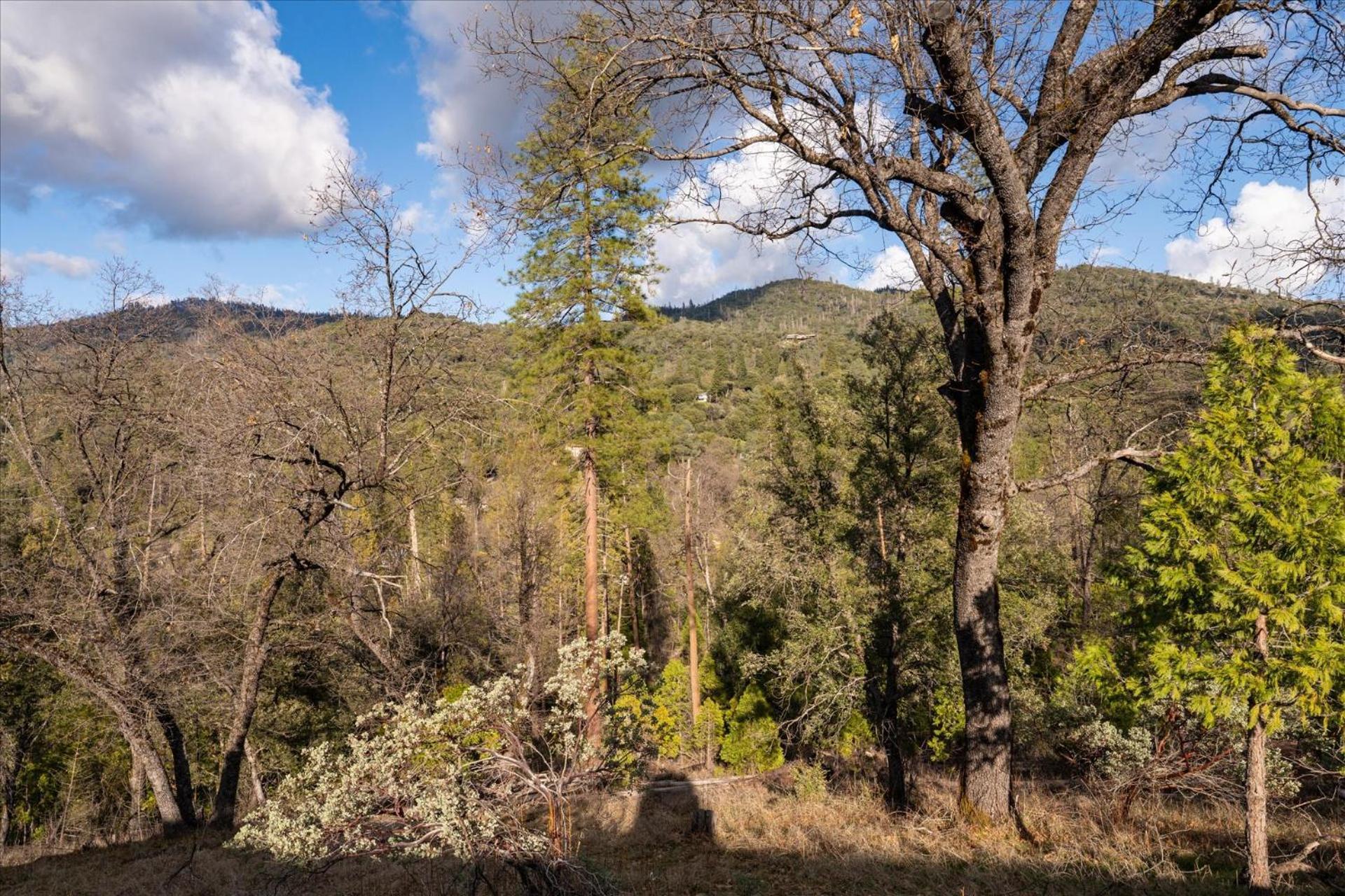 New Yosemite Dream Nest With Huge Views/spa/firepit/pet Friendly * Oakhurst